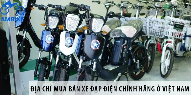 Top 4 Cửa hàng bán xe đạp điện uy tín nhất tại tỉnh Hà Nam  Toplistvn